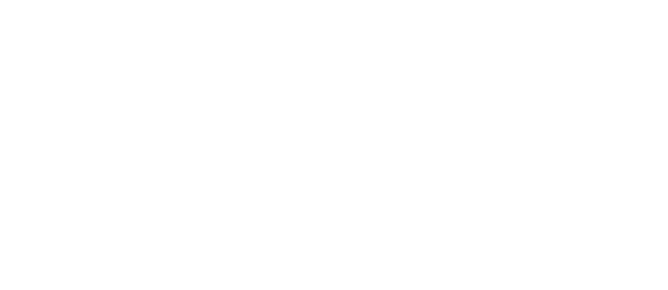 LogoAnyDeskW