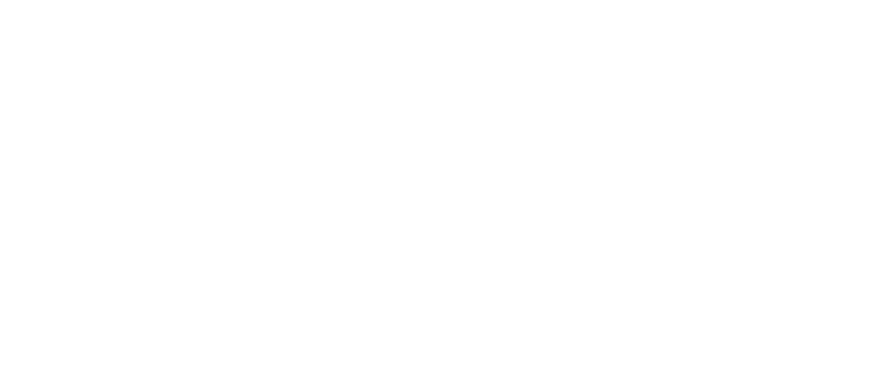 LogoBitTitanW