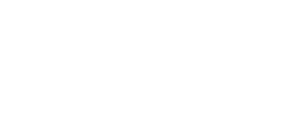 LogoFortinetW
