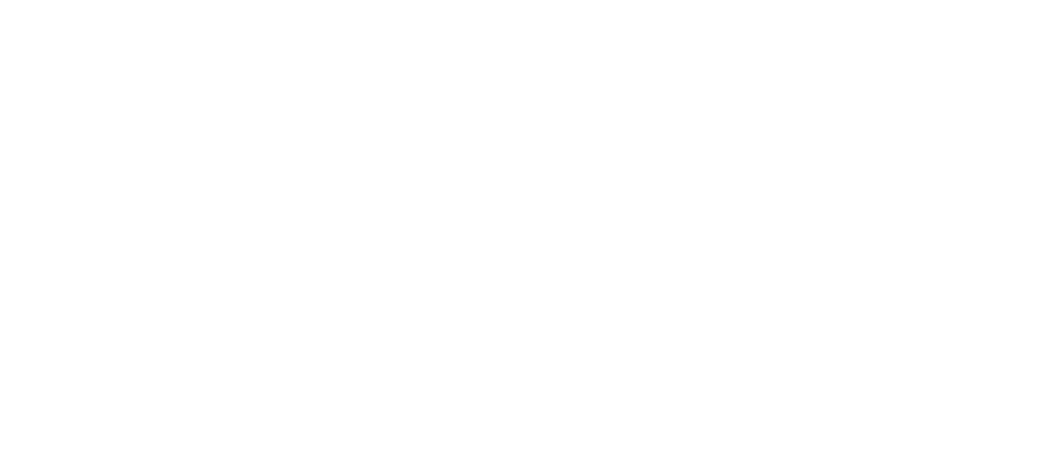 LogoWatchGuardW